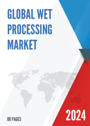 Global Wet Processing Market Insights and Forecast to 2028