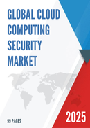 Global Cloud Computing Security Market Insights Forecast to 2029